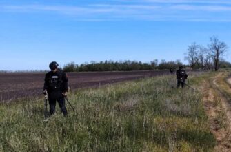 Сапери ДСНС Прикарпаття продовжують розмінування на Херсонщині