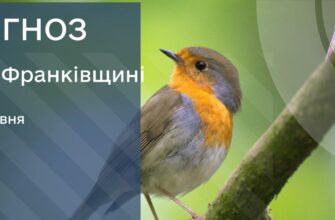Прогноз погоди на 28 травня 2025