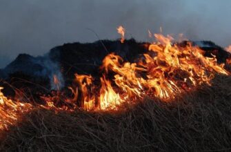 На Прикарпатті пожежонебезпечний період