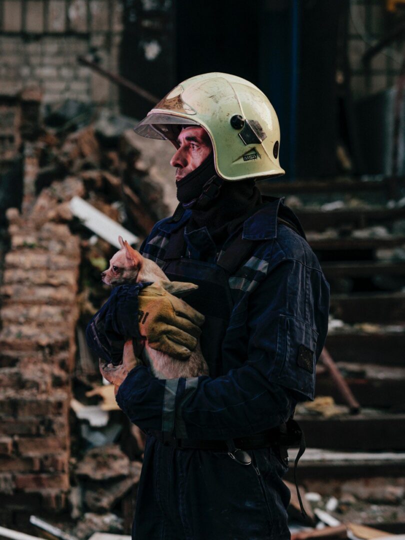 chih2 - Кожне життя має значення: рятувальники врятували тварин з-під завалів - rai.ua