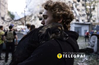 Кожне життя має значення: рятувальники врятували тварин з-під завалів
