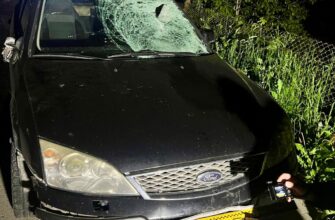 Поліцейські Прикарпаття розслідують ДТП за участі нетверезих водіїв