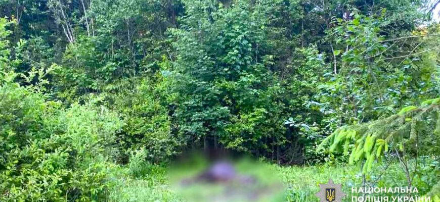Вистрілив у коня: поліція Прикарпаття шукає зловмисника