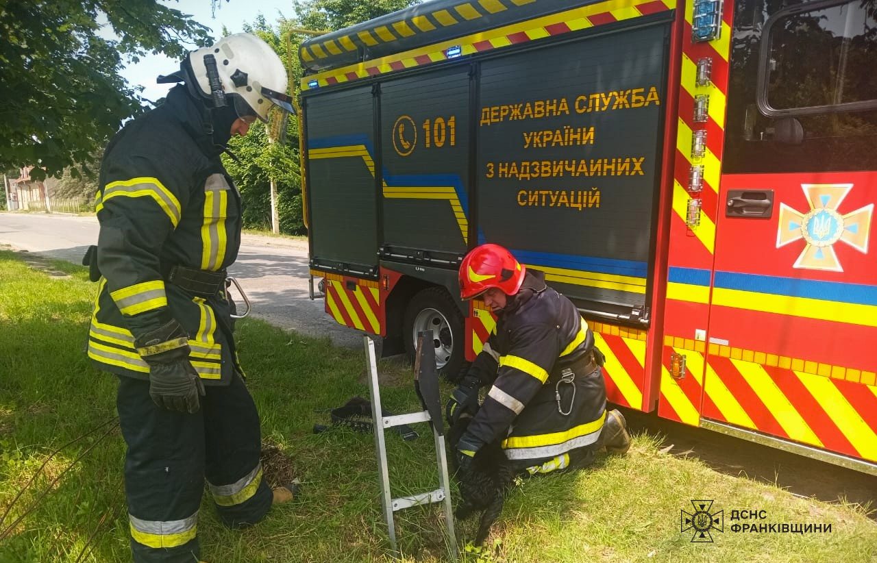 kolod - Долинські рятувальники врятували собаку, яка впала в колодязь - rai.ua