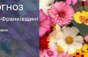 Прогноз погоди на 24 червня 2025 року