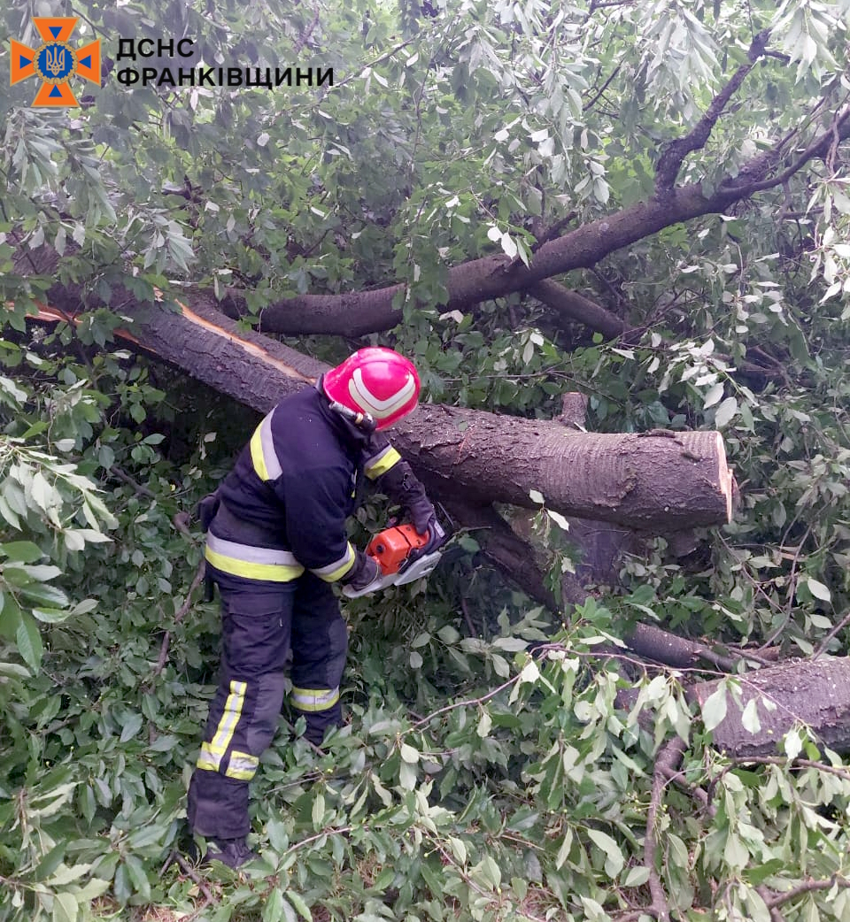 neg2 1 - Рятувальники ліквідували наслідки негоди на Прикарпатті - rai.ua