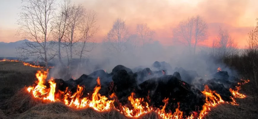 На Прикарпатті очікується надзвичайно висока пожежна небезпека