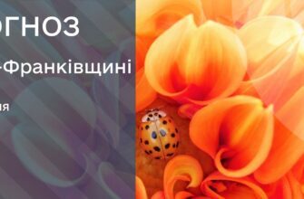 Прогноз погоди на 1 липня 2025 року