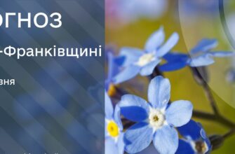 Прогноз погоди на 4 червня 2025 року