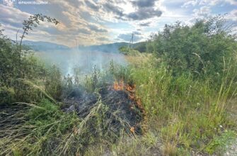 На Івано-Франківщині за добу зафіксовано 15 пожеж сухої рослинності