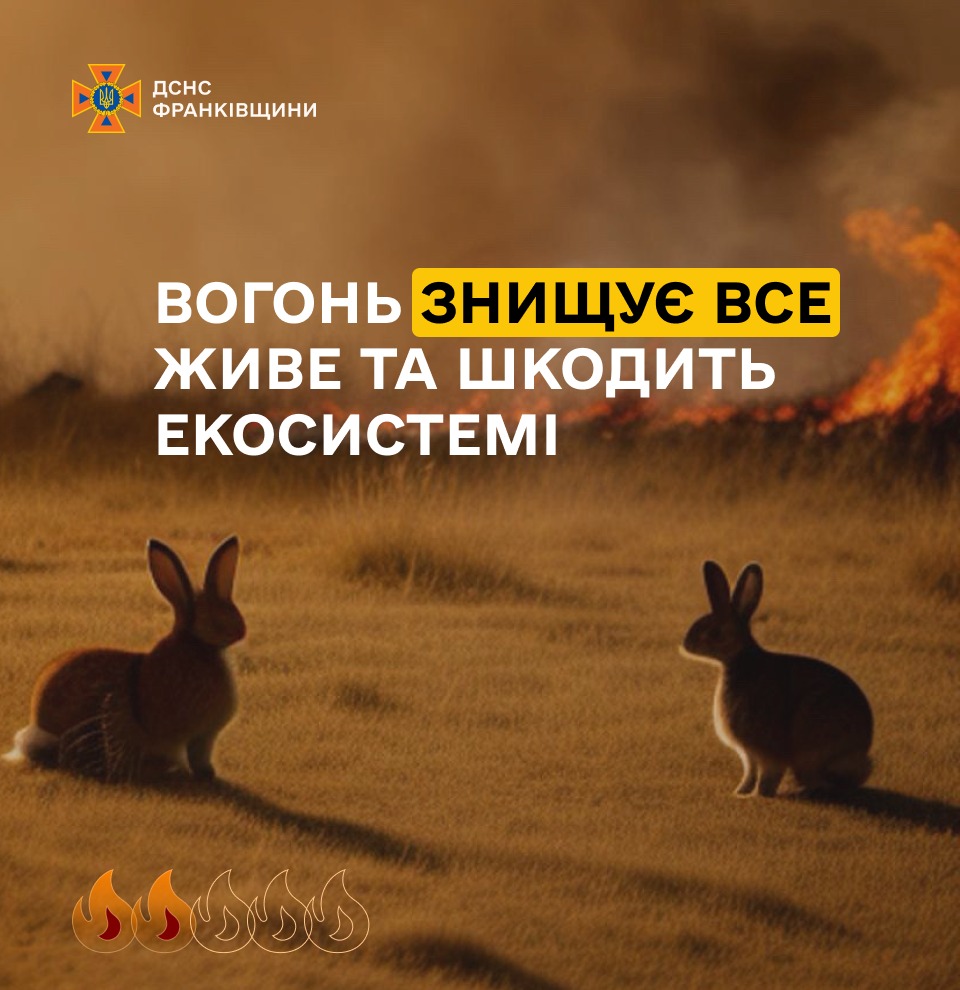 suhh6 - Рятувальники звертаються з проханням не спалювати суху траву - rai.ua