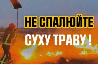 Рятувальники звертаються з проханням не спалювати суху траву