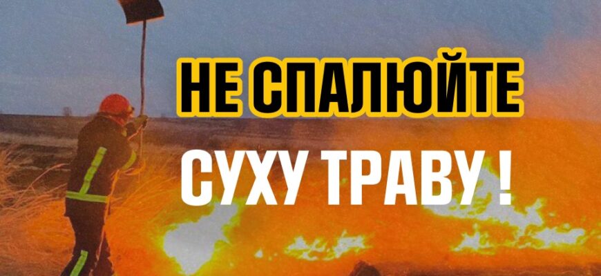 Рятувальники звертаються з проханням не спалювати суху траву