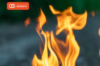 На Івано-Франківщині високий пожежонебезпечний період