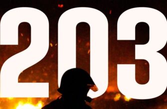 203 пожежі за добу: вогонь знищив понад 145 га української землі.