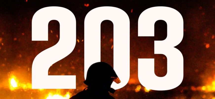 203 пожежі за добу: вогонь знищив понад 145 га української землі.
