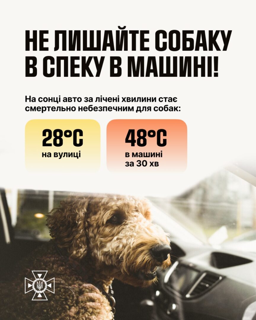 2828 - Спека в Україні: бережіть чотирилапих друзів - rai.ua