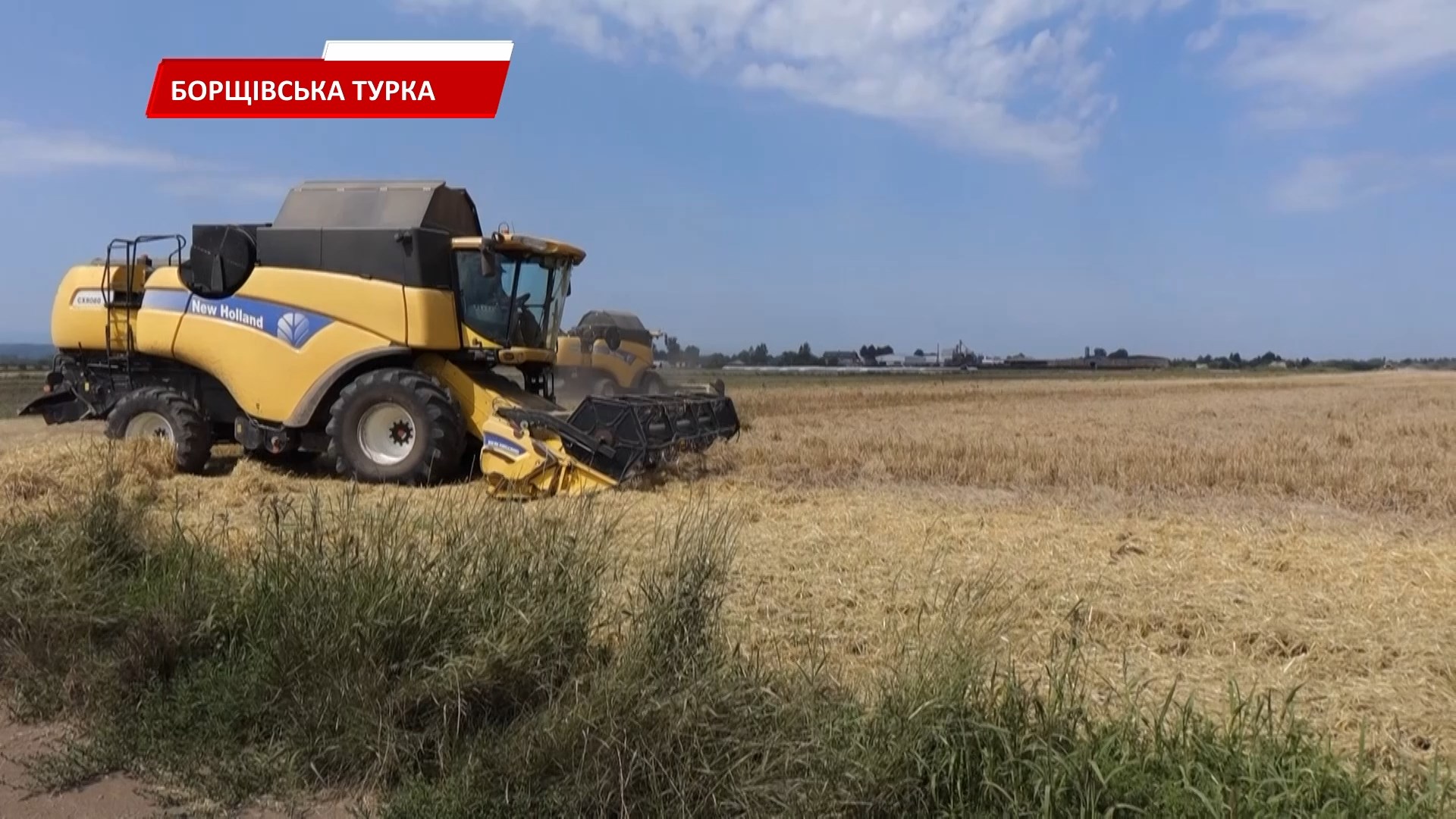 alpdap - Аграрії Коломийщини розпочали жниву. Відео - rai.ua