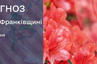 Прогноз погоди на 29 липня 2025 року