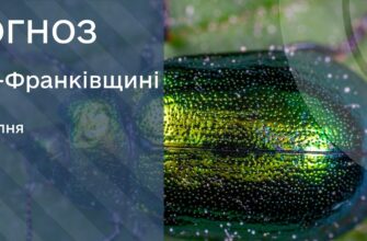 Прогноз погоди на 28 липня 2025 року