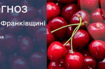 Прогноз погоди на 3 липня 2025 року