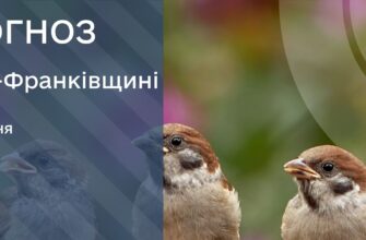 Прогноз погоди на 07 липня 2025 року