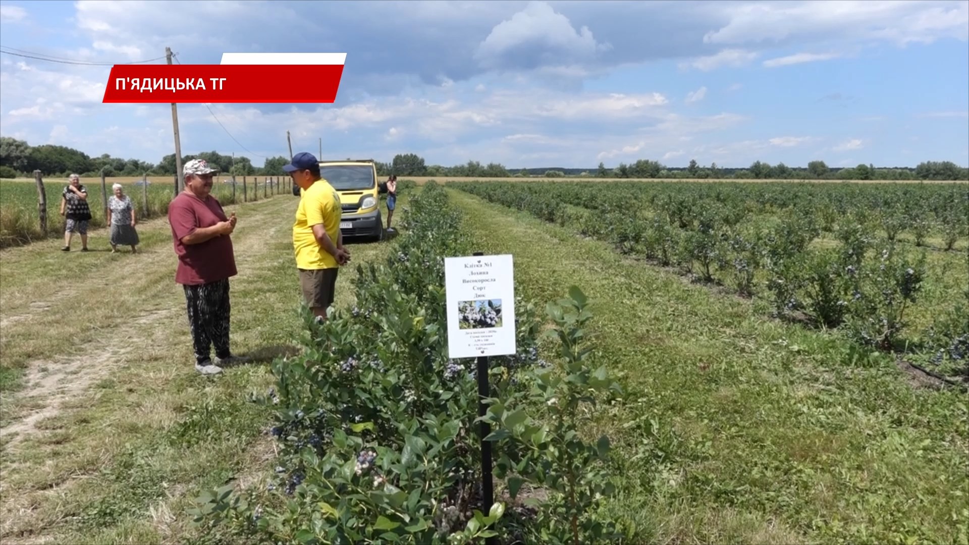 dent7 - У приміській до Коломиї Малій Кам'янці вперше провели День поля. Відео - rai.ua