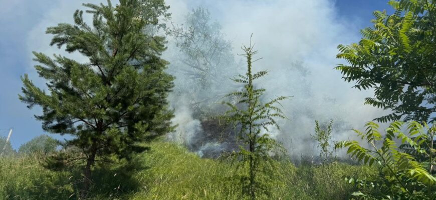 На Прикарпатті за добу — 23 пожежі в екосистемах