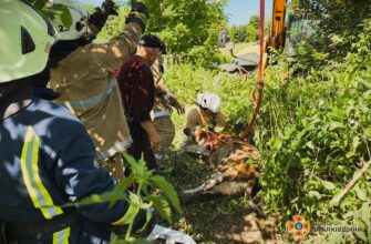 Ямницькі рятувальники врятували корову з колодязя