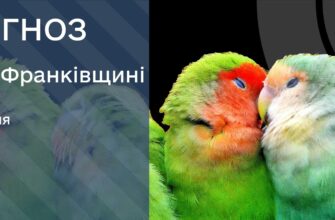 Прогноз погоди на 4 липня 2025 року