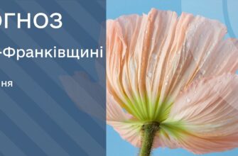 Прогноз погоди на 17 липня 2025 року