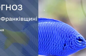 Прогноз погоди на 11 липня 2025 року