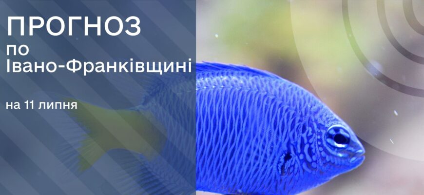 Прогноз погоди на 11 липня 2025 року