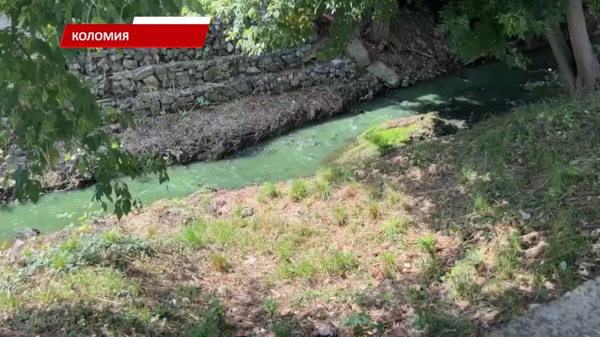 poro - Одразу кілька водойм у Коломиї змінили свій вигляд і стан. Відео - rai.ua