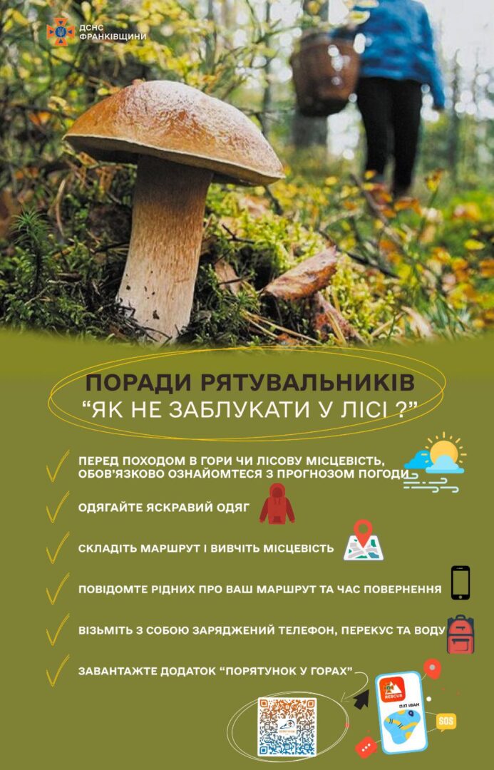 pororor - Як не заблукати в лісі під час збирання грибів? - rai.ua