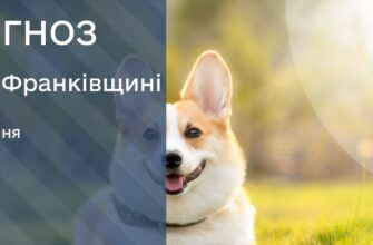 Прогноз погоди на 23 липня 2025 року