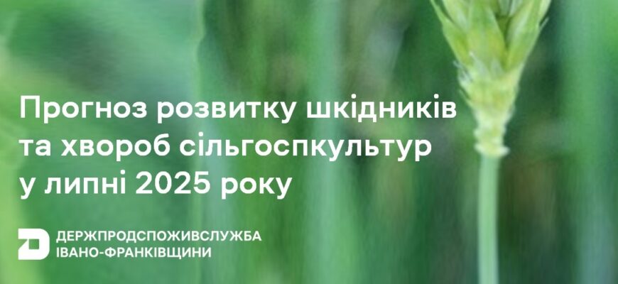 Розроблено Прогноз розвитку шкідників у липні 2025 року