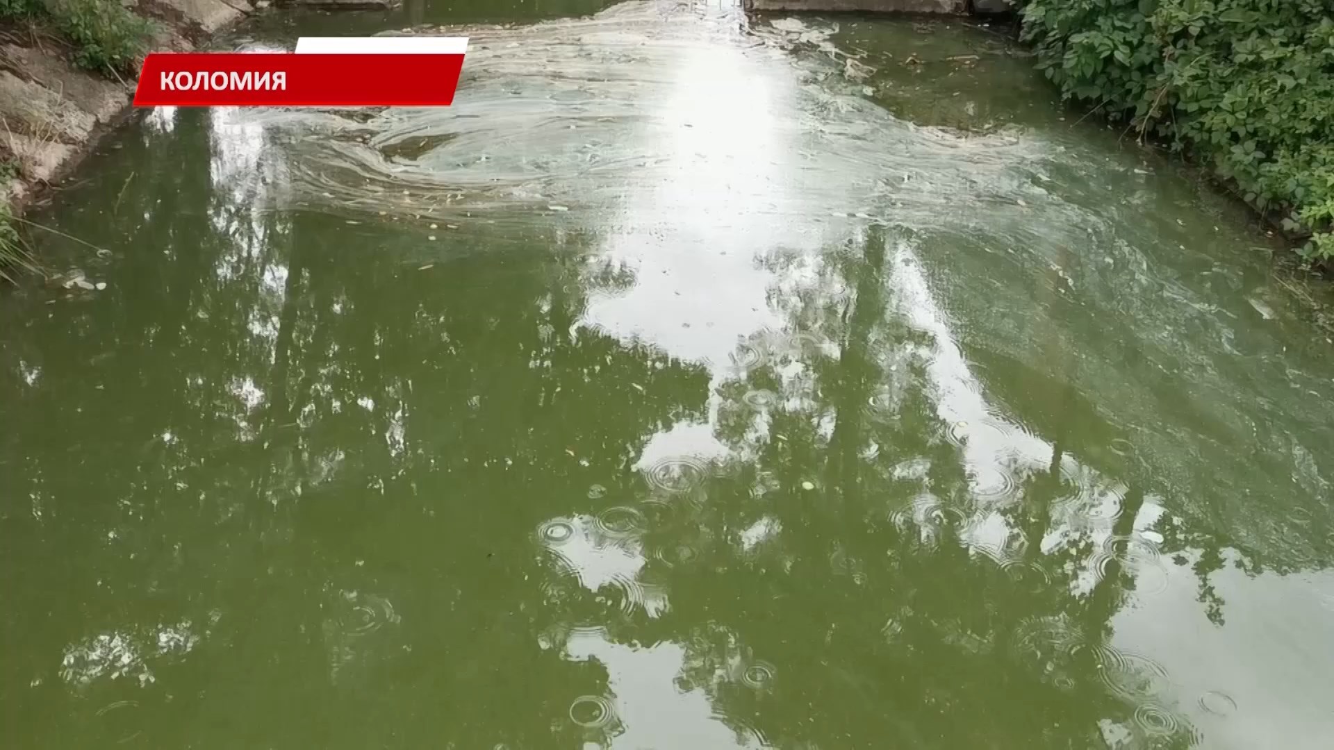 rlod - Одразу кілька водойм у Коломиї змінили свій вигляд і стан. Відео - rai.ua