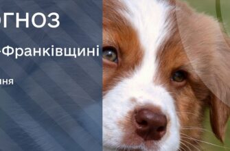 Прогноз погоди на 24 липня 2025 року