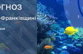 Прогноз погоди на 10 липня 2025 року