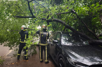 У Чернівцях рятувальники ліквідували наслідки негоди