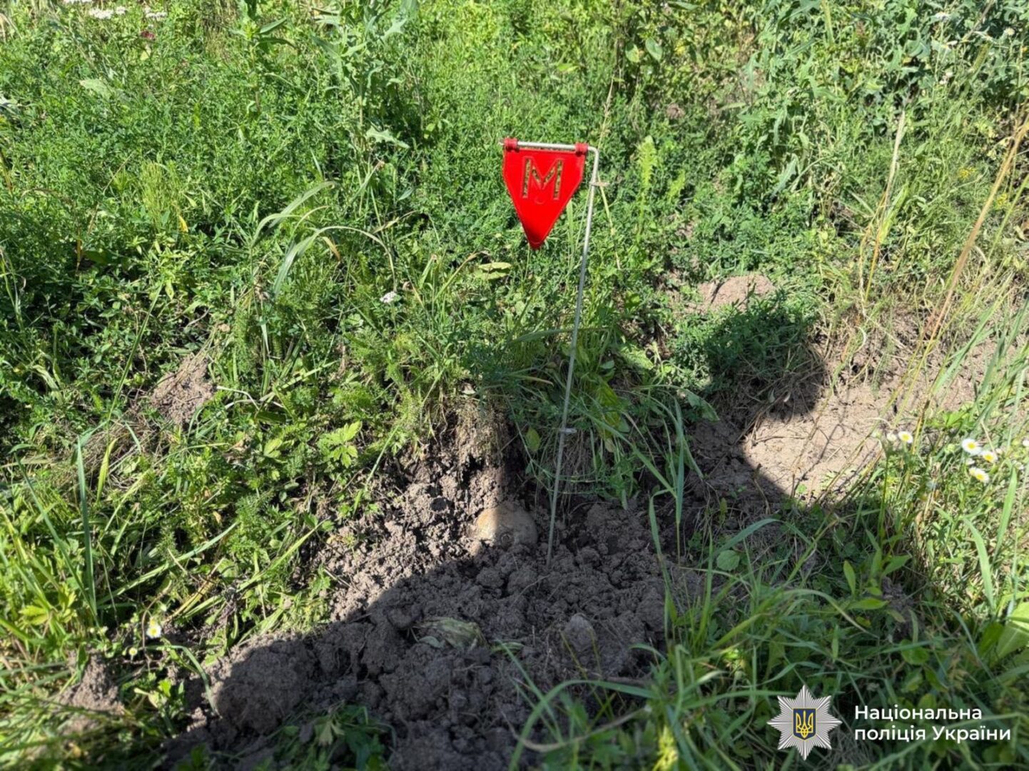 tio - Розмінування на полях: прикарпатські поліцейські ліквідовують наслідки ворожого обстрілу - rai.ua