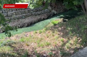 Одразу кілька водойм у Коломиї змінили свій вигляд і стан. Відео
