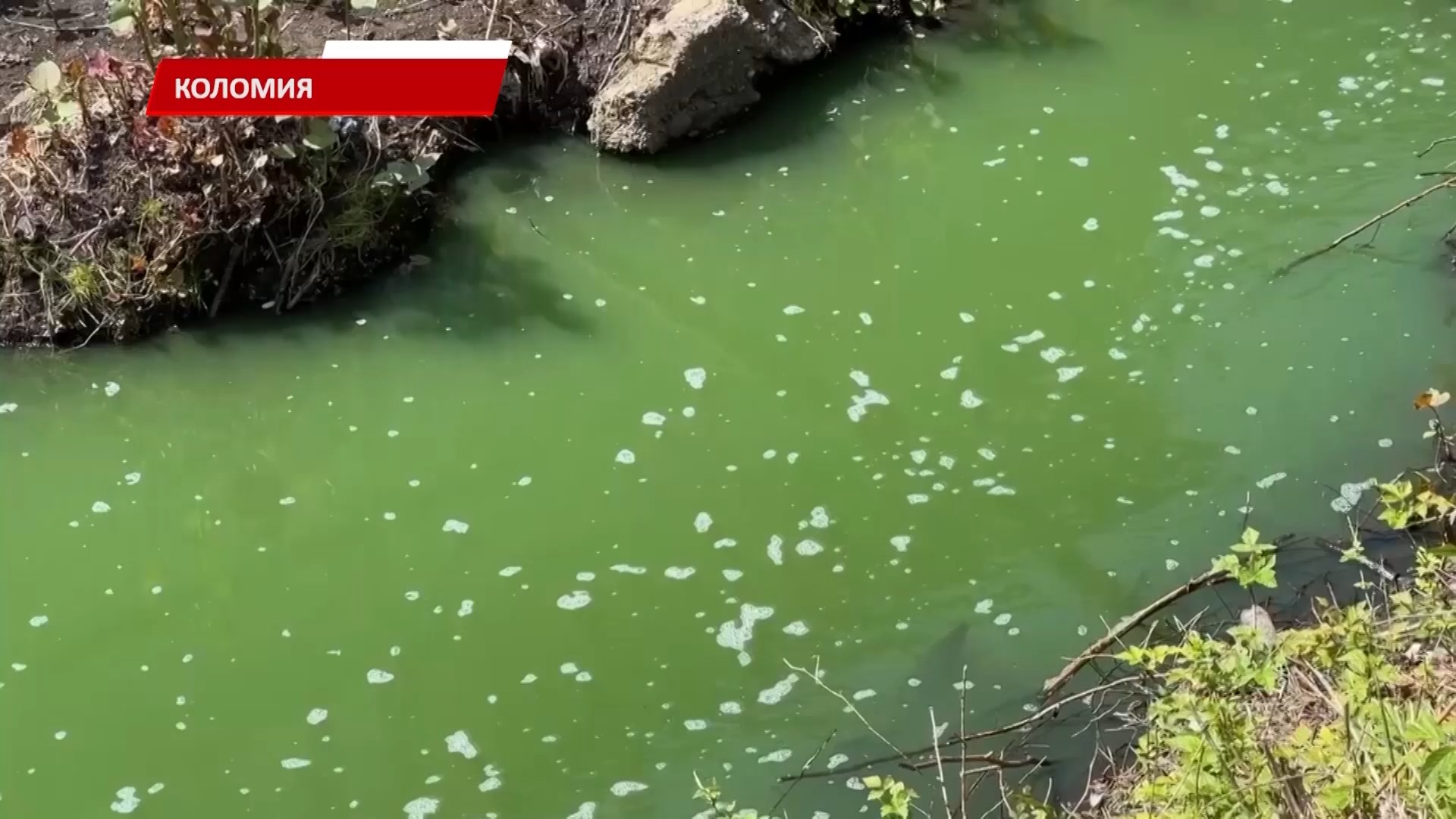 vn6n - Одразу кілька водойм у Коломиї змінили свій вигляд і стан. Відео - rai.ua