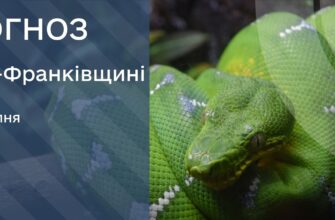 Прогноз погоди на 25 липня 2025 року