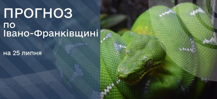 Прогноз погоди на 25 липня 2025 року
