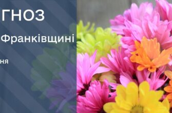 Прогноз погоди на 12 липня 2025 року