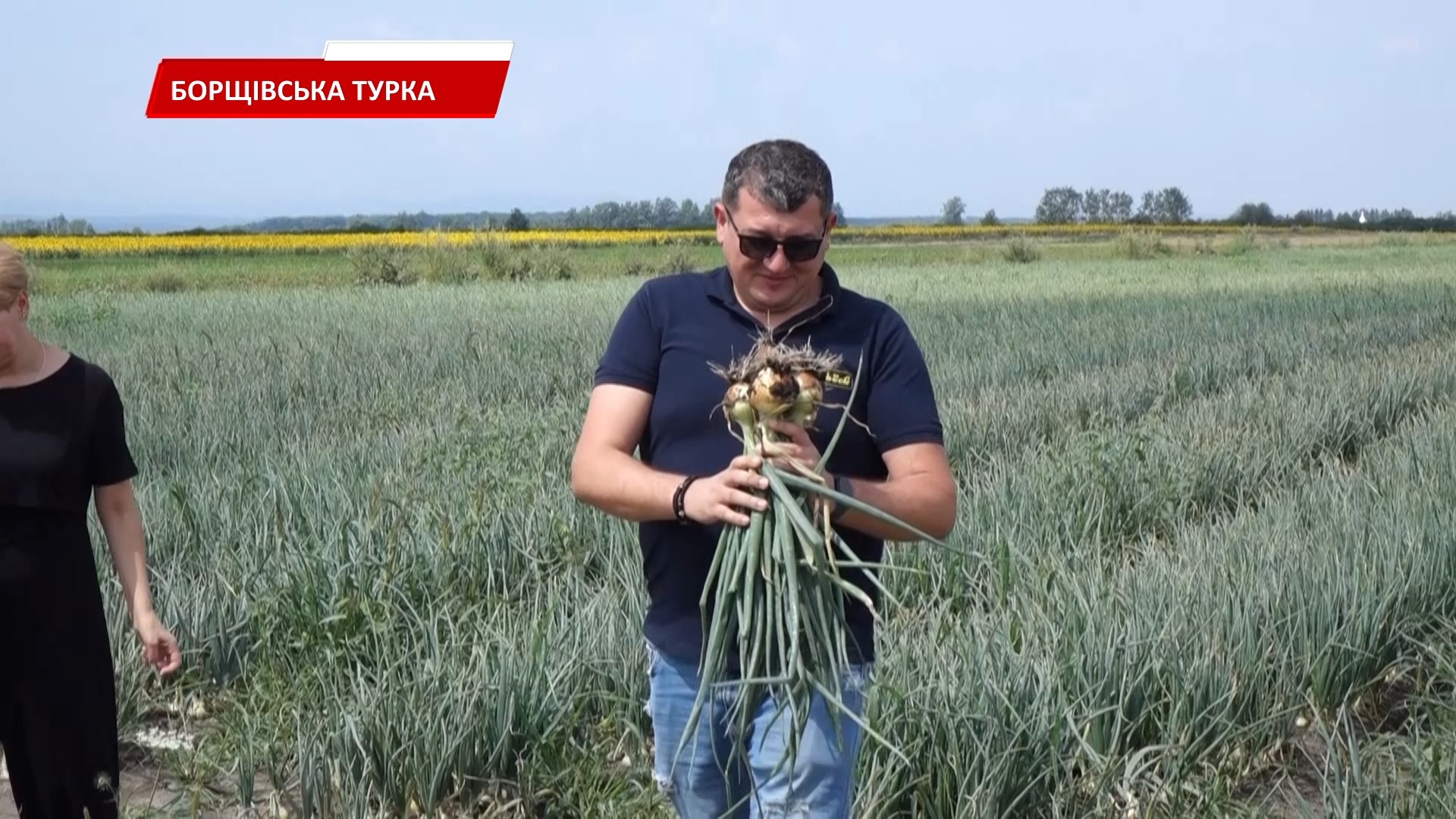 zhnr6 - Аграрії Коломийщини розпочали жниву. Відео - rai.ua
