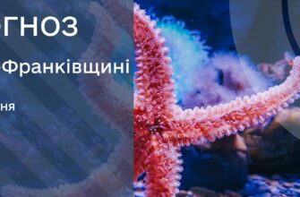Прогноз погоди на 31 липня 2025 року