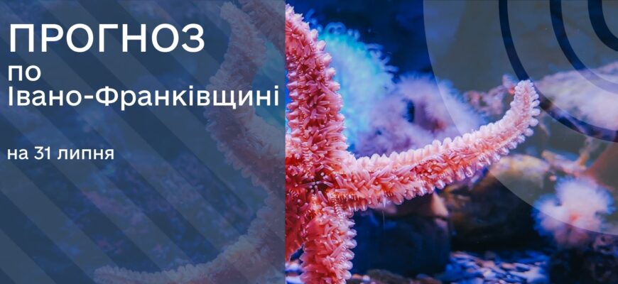 Прогноз погоди на 31 липня 2025 року